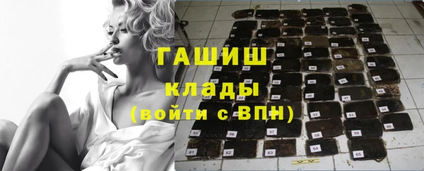 PSILOCYBIN Алзамай