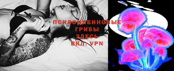 прущие грибы Армянск
