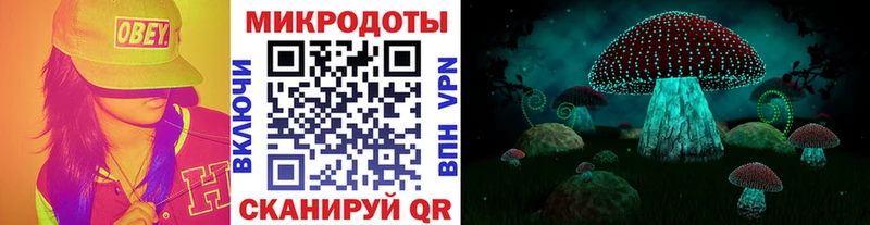 Купить закладки  Никольск  Псилоцибиновые грибы Psilocybe 