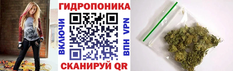 Бошки Шишки THC 21% Купить где Никольск